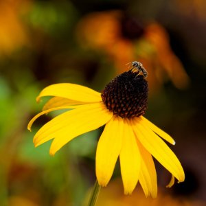 Exploring the Possibilities.jpeg