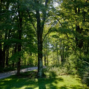 2023-08-26 ~ _R5_0548.jpg