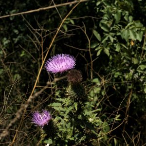 2023-08-25 13.57.50.jpg