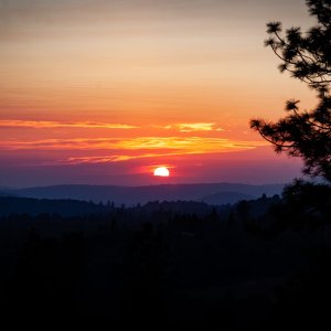 _MG_5945.jpg