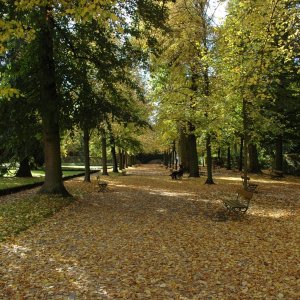 DSC_0146.JPG
