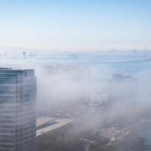 _MG_5034.jpg
