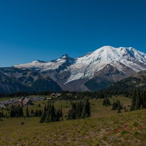 Rainier_IMG_1880.jpg