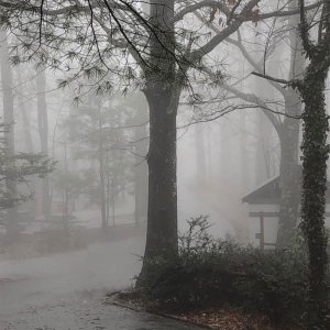 foggy.jpg