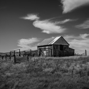 Blacktail Barn_097_2023_08_31_0514.jpg