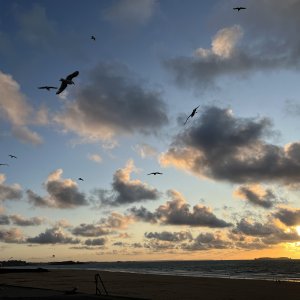 IMG_4831.jpeg