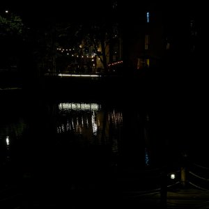 Lighting Up the Lake.jpeg
