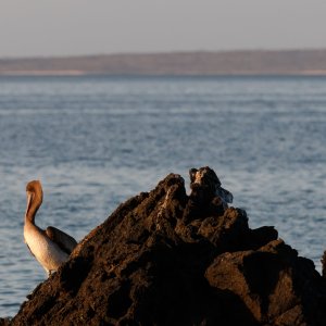IMG_3933.jpg