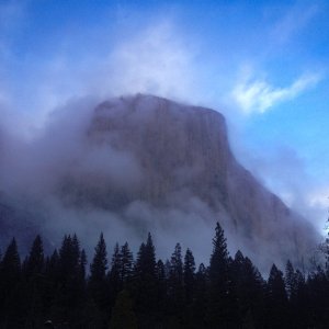 IMG_9225.jpg