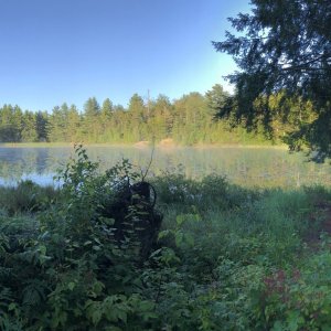 IMG_0950.jpg