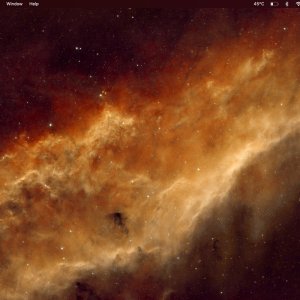 macbook12 Large.jpeg