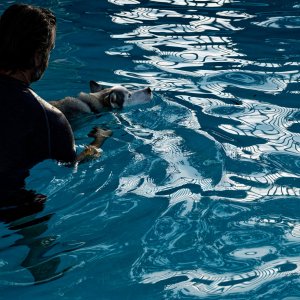 Exploring the Pool Together.jpeg