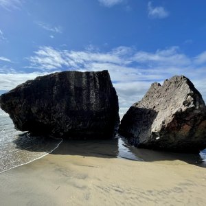IMG_2722.jpeg