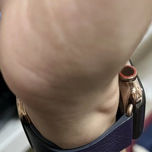 Aubergine2.jpg