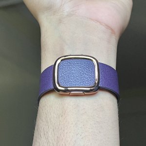 Aubergine3.jpg