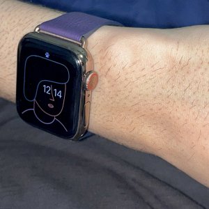 Aubergine6.jpg