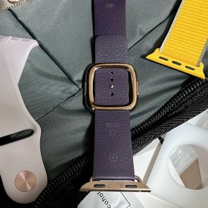 Aubergine8.jpg