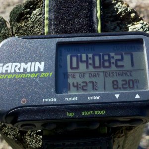 Garmin_Forerunner_201_cropped.jpg