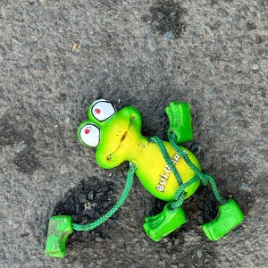 IMG_0800.jpeg