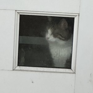 IMG_5112.jpeg