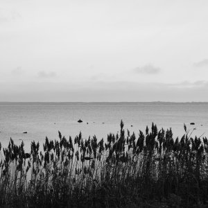 DSC_0206.jpeg