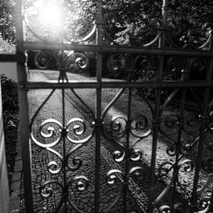 DSC05891.jpeg