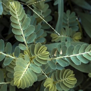 iPhone 14 ProMax-0.jpeg