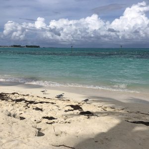 IMG_9878.jpg