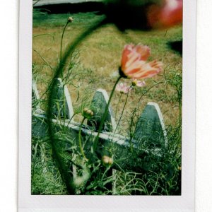 2023_September_Scan1.jpg