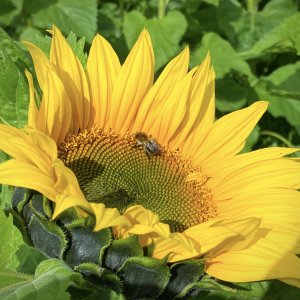 2023 - 17.08.23 - NORTHERN IRELAND_25 3.jpg