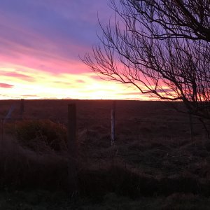 IMG_0003.jpeg