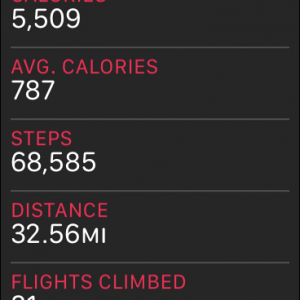 steps.PNG
