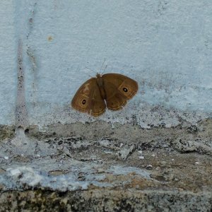 Around ACG - 8 Sept - 7.jpg