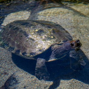 IMG_4709.jpg