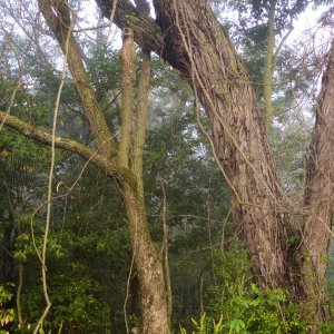 2023-09-13 07.53.45-1.jpg