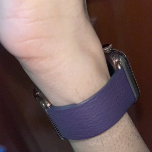 Aubergine1.jpg