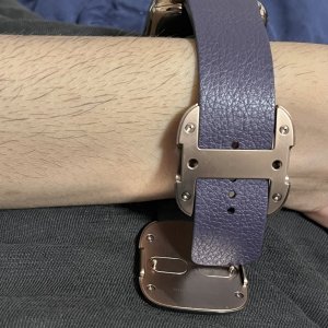 Aubergine5.jpg