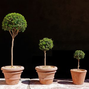 threetinytopiaries3 2k.jpg