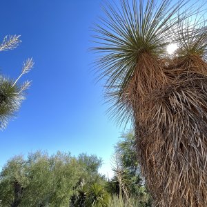 IMG_8359.jpg