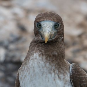 IMG_6299.jpg