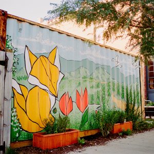 Roll _10_F100_2022_Image_31.jpg