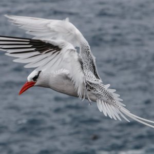 IMG_6225.jpg