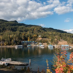 Selkirk_IMG_1630.jpg