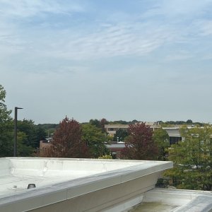 IMG_5335.jpeg