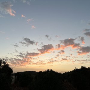 IMG_8160.jpeg