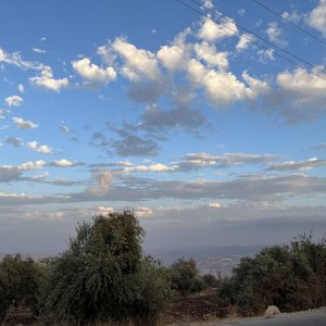 IMG_8157.jpeg