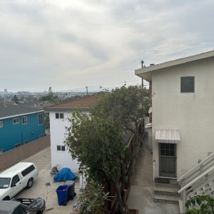 IMG_1526.jpeg