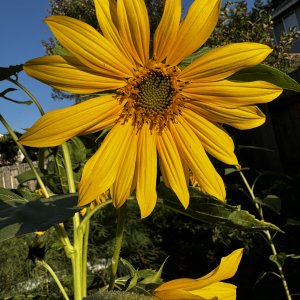 IMG_8122.jpeg