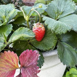 IMG_8127.jpeg