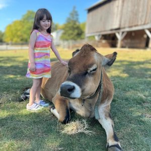 IMG_3620.jpeg